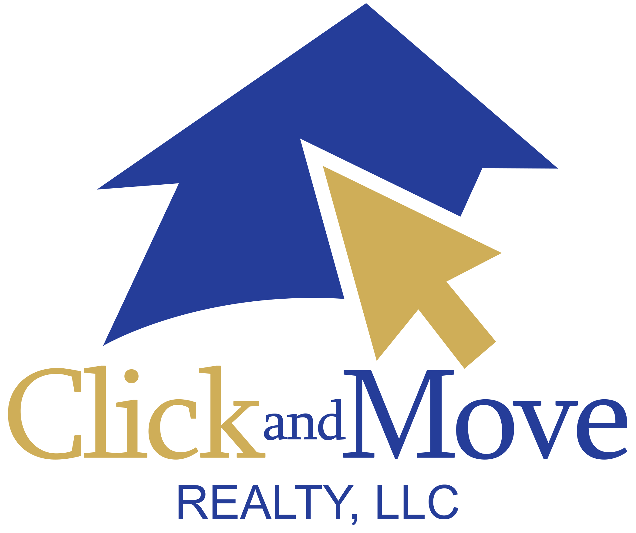 Company Name