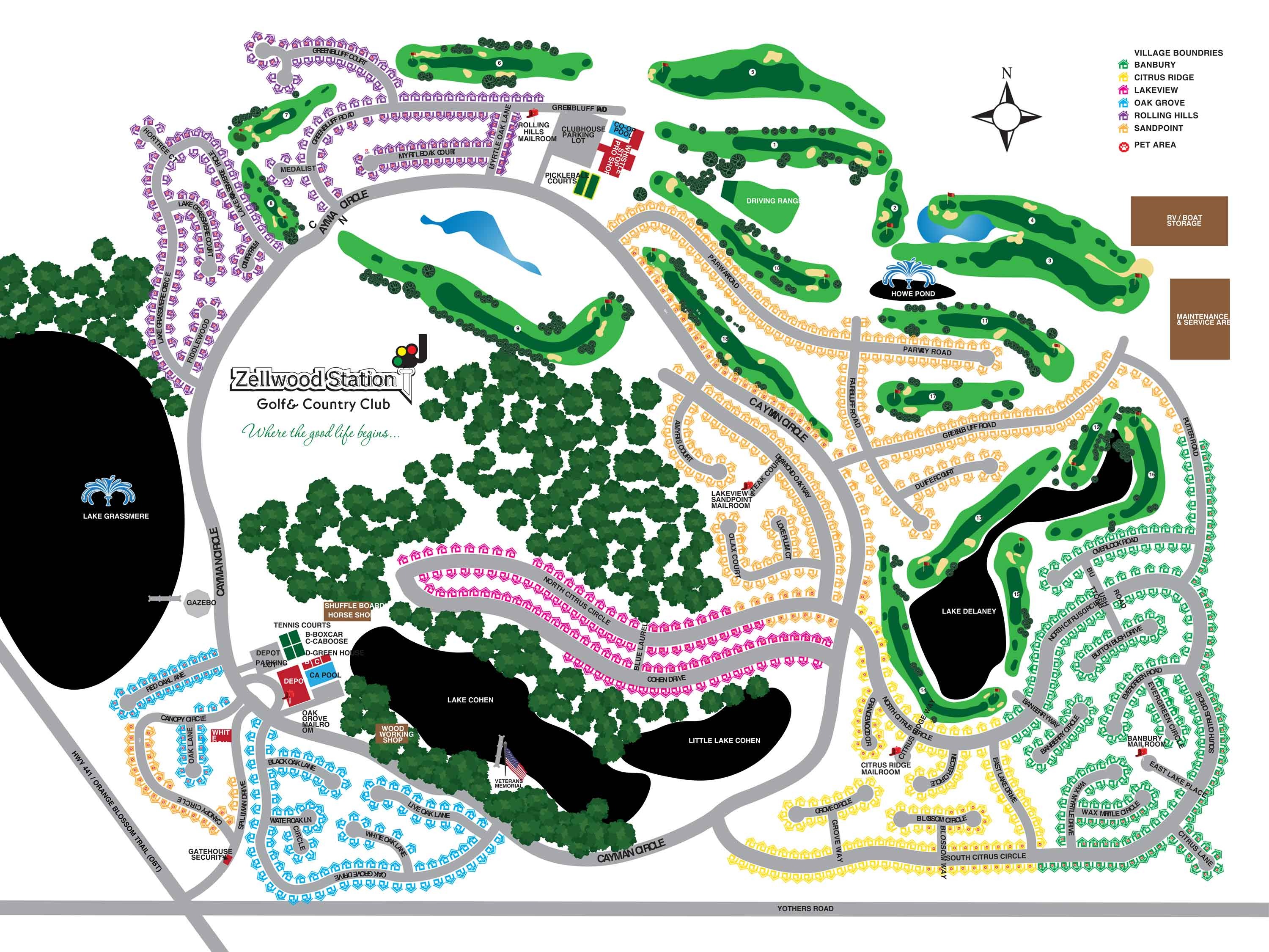 Section Image